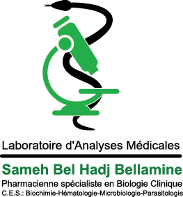 Dr Sameh Belhadj Bellamine