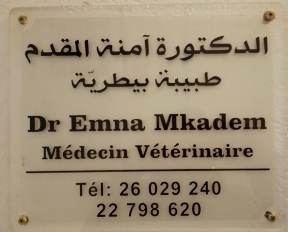 Dr Emna MKADEM