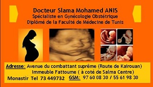 Dr Mohamed Anis SLAMA
